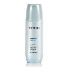OLORCHEE Ice Cool Shampoo Освіжаючий шампунь 300 ml